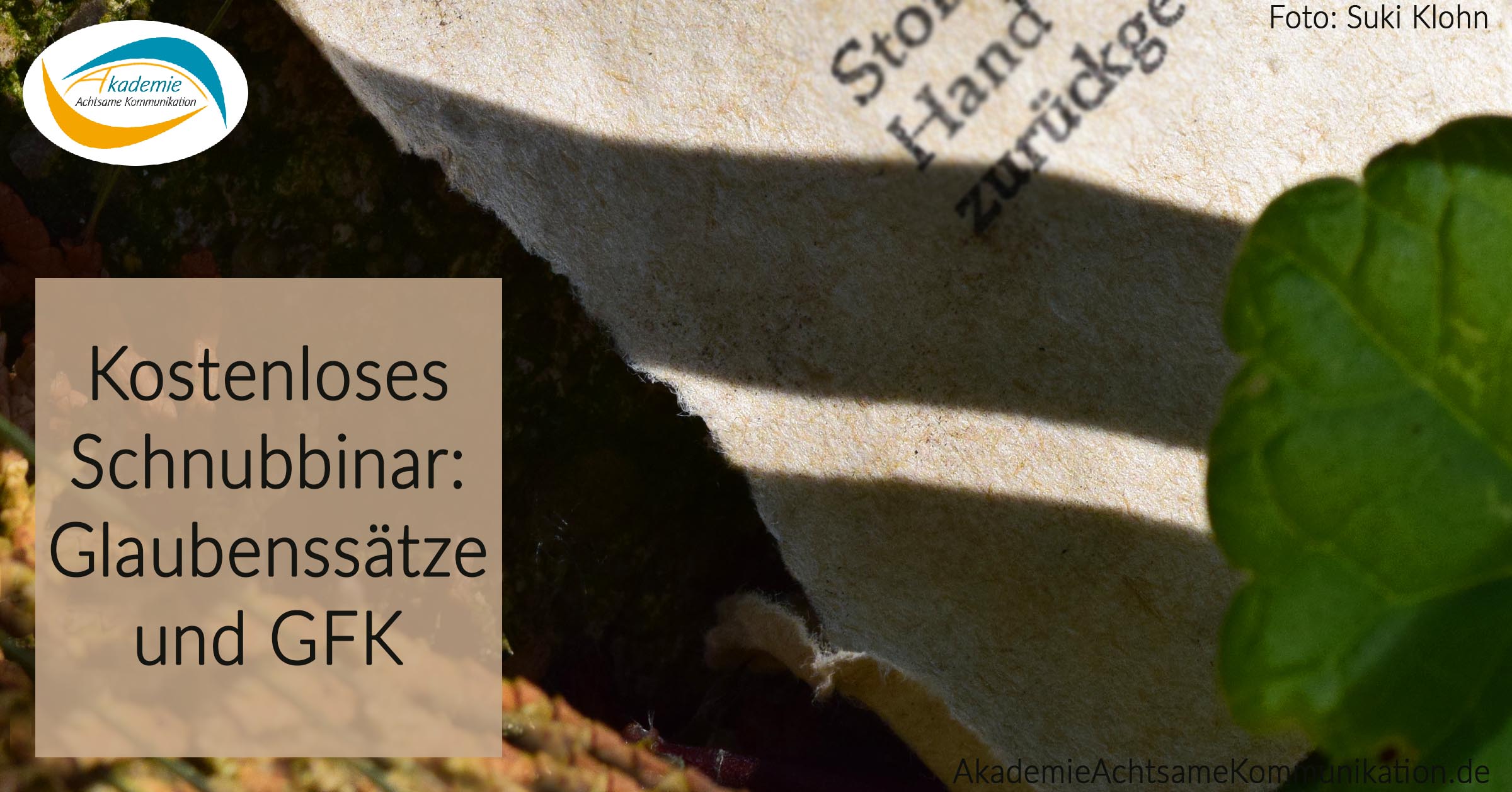 01 Glaubenssätze Schnubbinar
