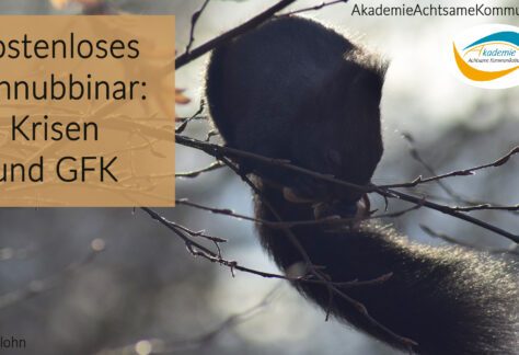 01 Krisen Schnubbinar